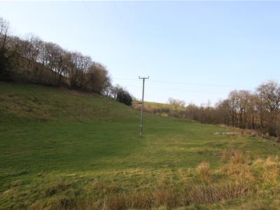 Picture 26